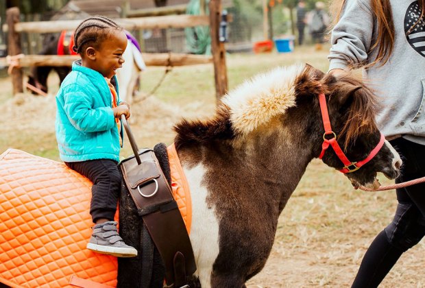 Hattiesburg petting zoo