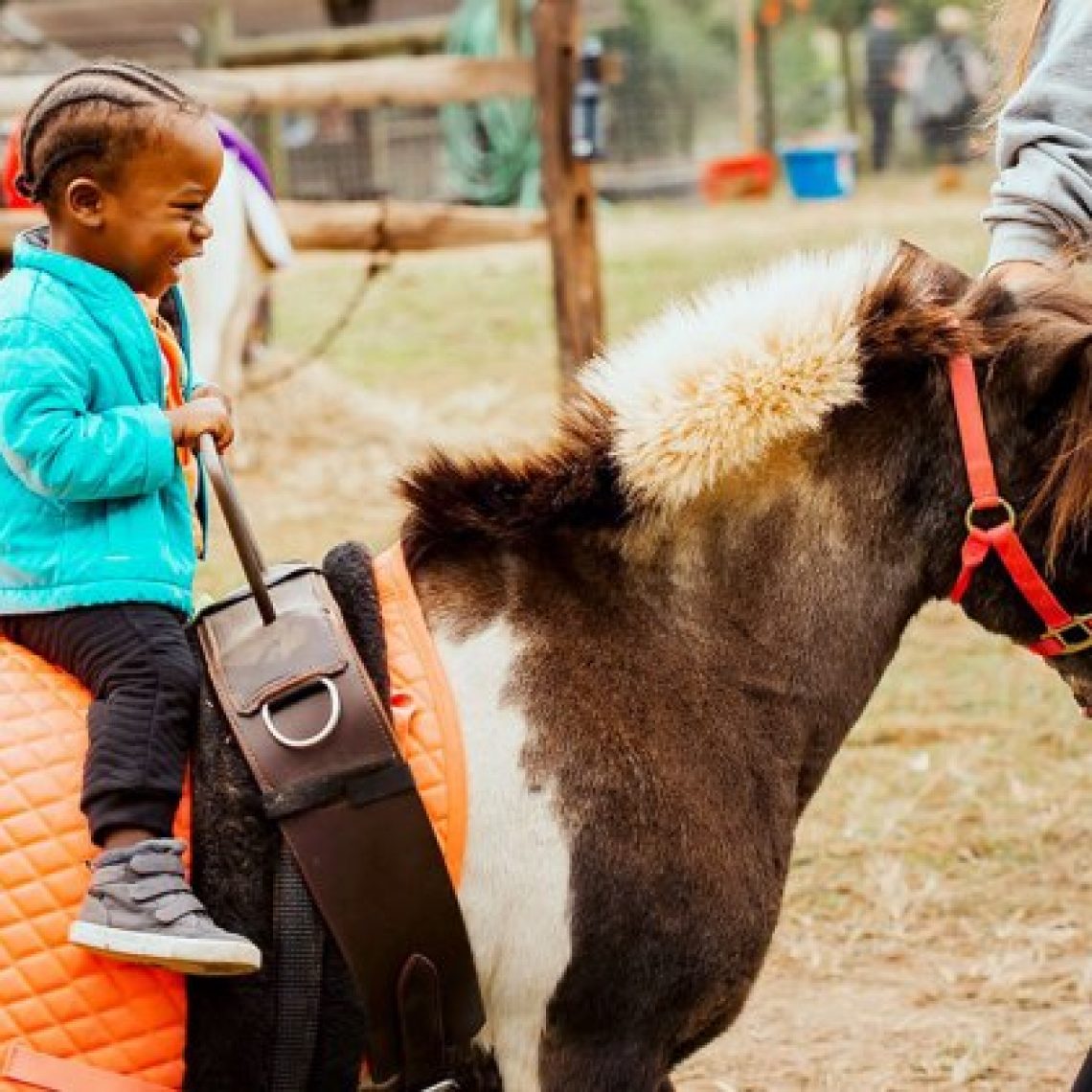 Hattiesburg petting zoo