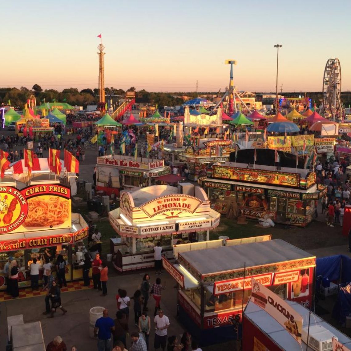 Lamar County Fair